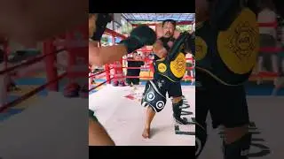 Trainer Gae - Don't miss Muay Thai kick Training 😡 ( Муай Тай)#short #kick#trainergae