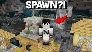 Minecraft, but the Spawns are absurd...