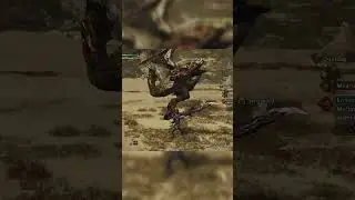 Seregios is the best training partner.