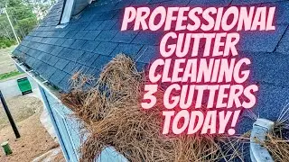 Professional Gutter Cleaning - Small Business - Working all year