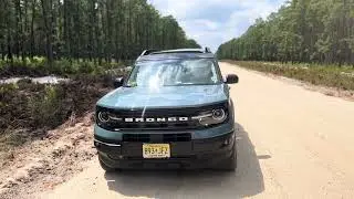 Wharton State Forest 2
