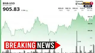 Binance in Focus as BNB Chain Grows but BNB Price Stalls