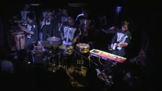 SONIDO GALLO NEGRO