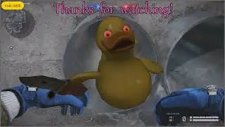 Quack Fury Knife animation! 🐣🐤🐥😀 Warface CLutch! 😁