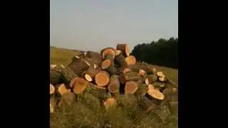 Тибет 1