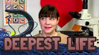 What is the deepest life on Earth?