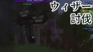 Enigma6-19　ハチの変態をコントロールする話。ついでにウィザーを倒す！！！