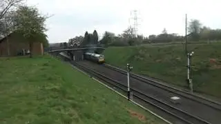 Type 2 sulzer thrash.