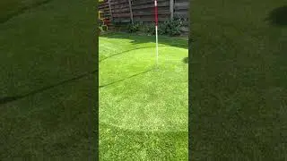 Poa Supina - Putting Green - Rasenfanatiker