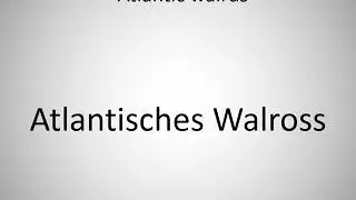 How to say Atlantic walrus in German?
