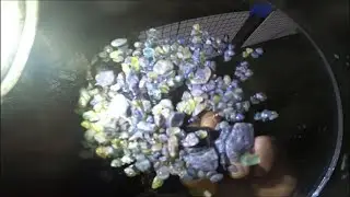 HUNTING FOR AUSTRALIAN GEM STONES DURING LOCKDOWN