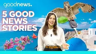 Five good news stories: a break from climate anxiety, the EU country sponsoring newer tech and more