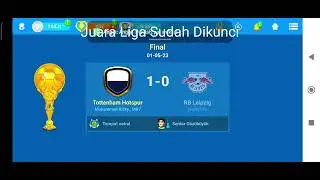 Final Cup Liga VIP OSM 2023