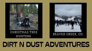 We Go Christmas Tree Hunting and to Birds of Prey in Beaver Creek!