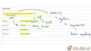 Homothallism is a kind of | CLASS 11 | BIOLOGICAL CLASSIFICATION | BIOLOGY | Doubtnut