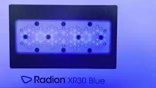 Radion G5 XR30 Blue