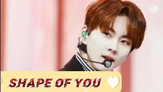 ENHYPEN Jungwon - Shape Of You [ FMV ]