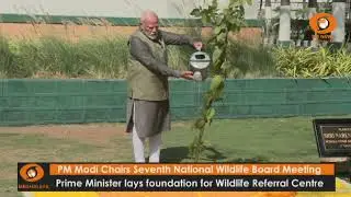 PM Modi Chairs Seventh National Wildlife Board Meeting