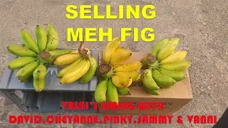 SELLING MY FIG.