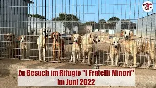 Zu Besuch in unserem Kooperationstierheim der L.I.D.A. in Olbia