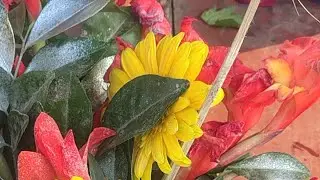 जिंदगी और कुछ भी नहीं तेरी मेरी कहानी है🌹🥰🥰🥰🥰🥰🥰🥰🥰