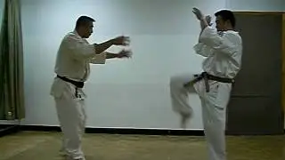 Hiko Ryu Taijutsu Basic Training 16-1 Shihosabaki Kiyoshi Takeuchi