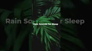 Relaxing Heavy Rain Sounds 🌧️ #shorts  #rain #sleep