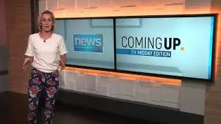 Coming Up On NewsNet Midday Edition