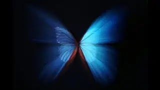 Mesmerizing Chaos not yet Random: The Beautiful Orbits of a Butterfly Effect