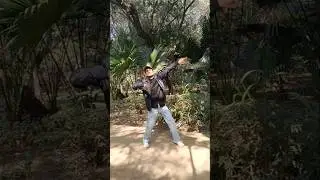 it's magic ✨ vibe h gaane mein 😀 #shorts #dancevideo #viral #fy #dancer