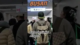 Busan Gimhae International Airport Arrival to Exit  Full Walk, Real Time Korea