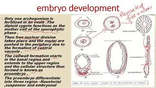 male & female cone , pollination, fertilization, embryo development, seed structure of Gymnosperms