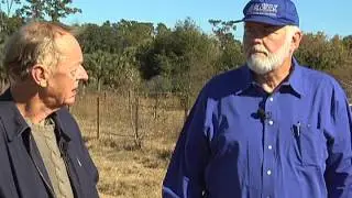 Biological Control of Mole Crickets: The History