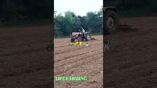 LIFE TIME FARMING #funny #trending #comedy #viral #shortsfeed #like #shorts #subscribe