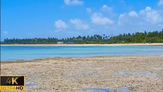 São Miguel dos Milagres Piscinas Naturais Praia do Riacho e Praia do Marceneiro 4k