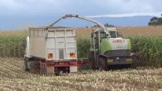 Andurt Maize Part 3
