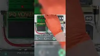 Bad Monkey vs Hardwire CM-2