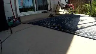 GoPro timelapse of snake emerging from my porch
