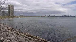 Ferry between Humber Bay Shores and Yonge Street proposed