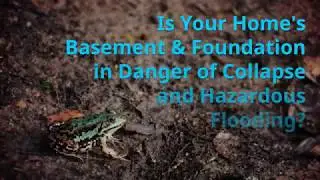 Basement Flooding & Water Damage - is YOUR Home at Risk?