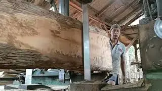 The processor saws boards and beams from teak wood for frame materials