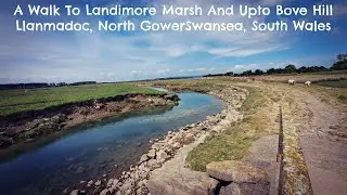 A Walk To Llandimore Marsh And Upto Bove Hill, Llanmadoc, North Gower, Swansea