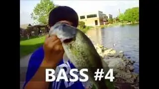 Mangler Lures: Testing New Baits