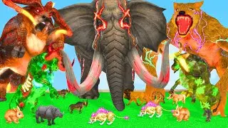 4 Giant Elephant Cow Vs Giant Indian Wolf Vs 6 Giant Lion Cheetah Bull Saved By Wooly Mammoth