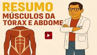 RESUMO MÚSCULOS DO TÓRAX E ABDOME #fisioterapia #enfermagem #tecnicoemenfermagem #biomedicina