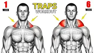 Best Exercise For Perfect Traps | (easy with effective) 👌 
