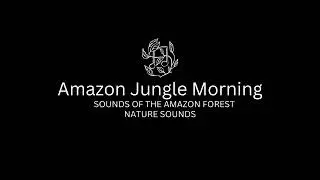 AMAZON JUNGLE FOREST BLACK SCREEN