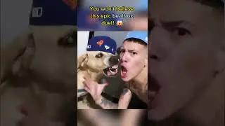 Epic Beatbox Duet Man and Dog Wow the Crowd! 😱 (@escobeditto via TikTok) #beatbox #dogs #shorts