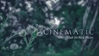 Nature Cinematic Video Shoot On Poco Mobile || Poco M2 Pro