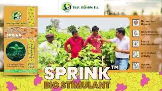 Sprink's Success Testimonial